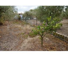 Finca rustica en Venta en Botarell, Tarragona