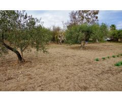 Finca rustica en Venta en Botarell, Tarragona