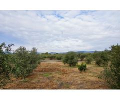 Finca rustica en Venta en Botarell, Tarragona