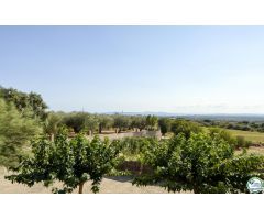 Chalet en Venta en Palau-saverdera, Girona