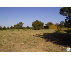 Finca rustica en Venta en Garriguella, Girona