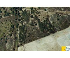 Finca rustica en Venta en Garriguella, Girona