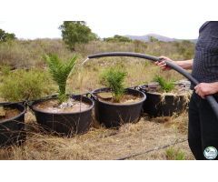 Finca rustica en Venta en Garriguella, Girona