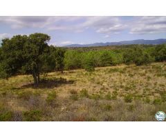 Finca rustica en Venta en Garriguella, Girona