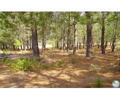 Finca rustica en Venta en Garriguella, Girona