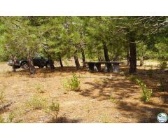 Finca rustica en Venta en Garriguella, Girona