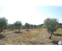 Parcela en Venta en Garriguella, Girona