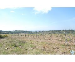 Parcela en Venta en Garriguella, Girona