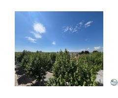 Apartamento en Venta en Empuriabrava, Girona