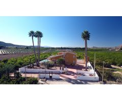 Finca de 9.480 m2. con Chalet de 495 m2. construidos en parcela de 1.000 m2. dentro de la finca.