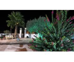 Finca de 9.480 m2. con Chalet de 495 m2. construidos en parcela de 1.000 m2. dentro de la finca.
