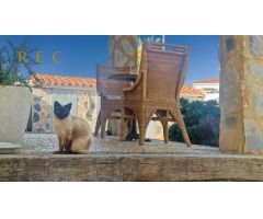 Chalet en Venta en El Albir / LAlbir, Alicante