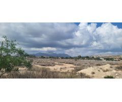 PARCELAS EN VENTA - MORALET