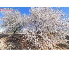 Terreno industrial finalista de 35.300m2 en Campo Real
