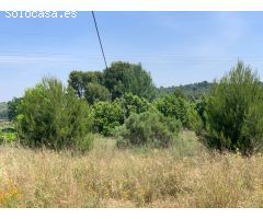 Parcela en Venta en Pedralba, Valencia