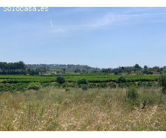 Parcela en Venta en Pedralba, Valencia