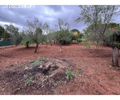 Chalet en Venta en Llíria, Valencia