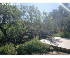 Chalet en Venta en Soaserra, Valencia