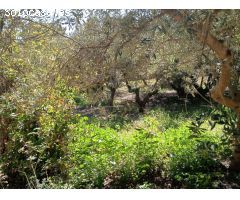 Chalet en Venta en Soaserra, Valencia