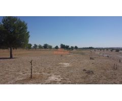 TERRENO RUSTICO EN ZONA LAS PERDICES, CARRETERA JAEN