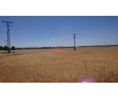 SE VENDE  FINCA RUSTICA DE 44.000 M2  A 5 MINUTOS DE ALBACETE.