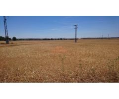 SE VENDE  FINCA RUSTICA DE 44.000 M2  A 5 MINUTOS DE ALBACETE.