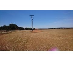 SE VENDE  FINCA RUSTICA DE 44.000 M2  A 5 MINUTOS DE ALBACETE.
