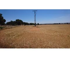 SE VENDE  FINCA RUSTICA DE 44.000 M2  A 5 MINUTOS DE ALBACETE.