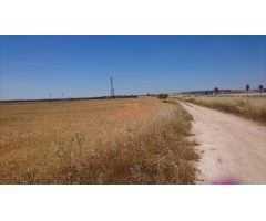 SE VENDE  FINCA RUSTICA DE 44.000 M2  A 5 MINUTOS DE ALBACETE.