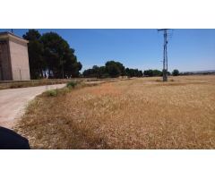 SE VENDE  FINCA RUSTICA DE 44.000 M2  A 5 MINUTOS DE ALBACETE.
