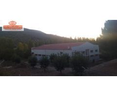 NAVE INDUSTRIAL EN VENTA EN EL SALOBRE ( POSIBILIDAD DE HABILITAR COMO CASA RURAL)