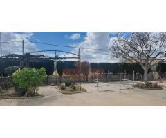 Se vende estupenda parcela urbana en El Plantio