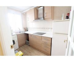PISO  DE  CORTA TEMPORADA. 550 € /MES