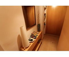 PISO  DE  CORTA TEMPORADA. 480 € /MES