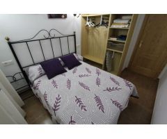 PISO  DE  CORTA TEMPORADA. 490 € /MES