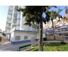 PISO  DE  CORTA TEMPORADA. 490 € /MES