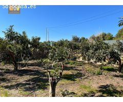 Casa de campo en Venta en Altea la Vella, Alicante