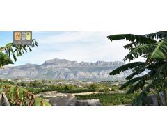 PARCELA DE 12.000M2 CON CASA