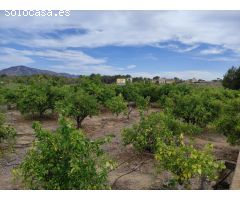 Finca rústica en La Nucía