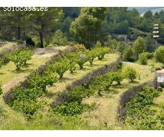 ESPECTACULAR FINCA RÚSTICA EN SELLA