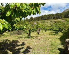 ESPECTACULAR FINCA RÚSTICA EN SELLA