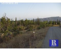 Finca rustica en Venta en Pizarra, Málaga