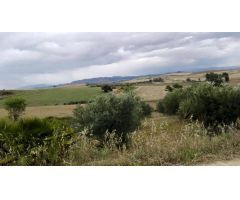 Finca rustica en Venta en Coín, Málaga