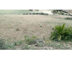 Finca rustica en Venta en Coín, Málaga
