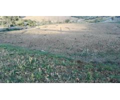 Finca rustica en Venta en Coín, Málaga