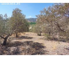 Finca rustica en Venta en Alora, Málaga
