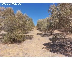 Finca rustica en Venta en Alora, Málaga