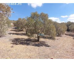 Finca rustica en Venta en Alora, Málaga