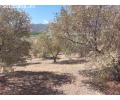 Finca rustica en Venta en Alora, Málaga