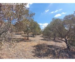 Finca rustica en Venta en Alora, Málaga